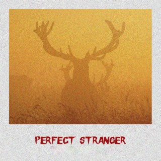 Perfect Stranger