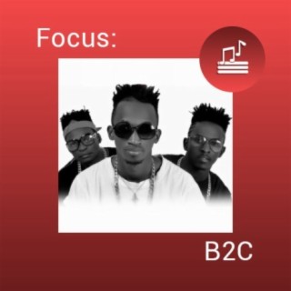 Focus: B2C