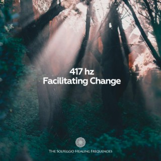417Hz Facilitating Change