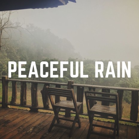 Calming Rain | Boomplay Music