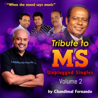 Tribute to MS Unplugged Volume 02