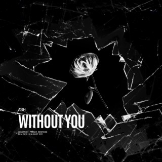 Without You