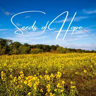 Seeds of Hope lyrics | Boomplay Music