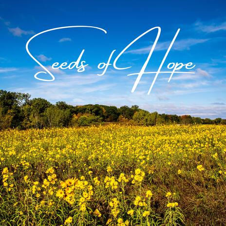 Seeds of Hope | Boomplay Music