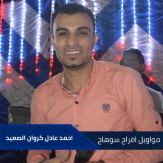 Ahmed Adel Karawan Al Saeid