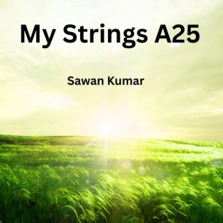 My Strings A25