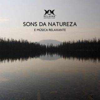 Sons Da Natureza E Música Relaxante - Ambiente De Floresta, Cantos De Pássaros, Sons De Rio (Cura Profunda Para O Corpo)