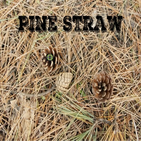 Pine Straw