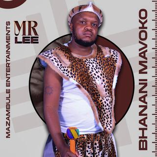 Bhanani mavoko (Radio Edit)