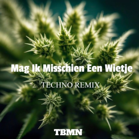 Mag Ik Misschien Een Wietje (Techno Remix) | Boomplay Music