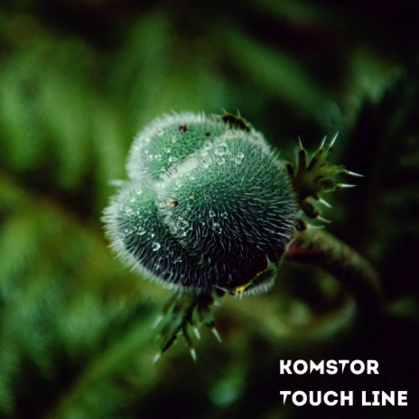 Touch Line