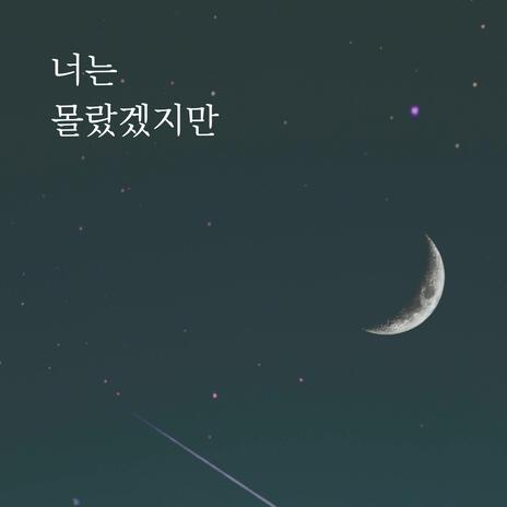 너는 몰랐겠지만 | Boomplay Music