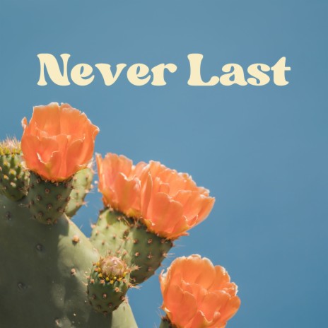 Never Last ft. A.Y. | Boomplay Music