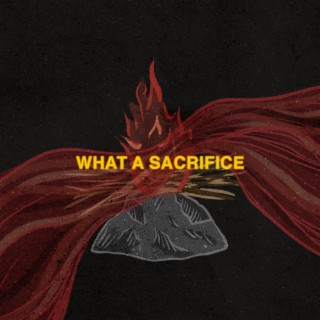 What A Sacrifice (Live) lyrics | Boomplay Music