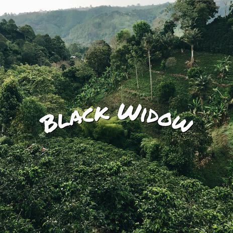 Black Widow | Boomplay Music