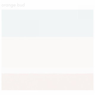 Orange Bud