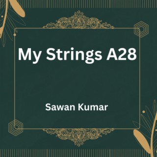 My Strings A28