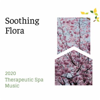 Soothing Flora - 2020 Therapeutic Spa Music