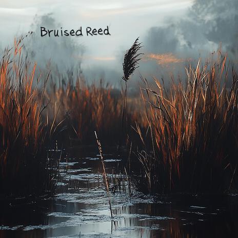 Bruised Reed | Boomplay Music