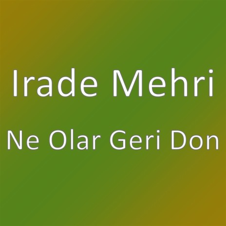 Ne Olar Geri Don | Boomplay Music