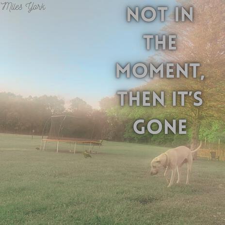 Not in the Moment, Then it's Gone | Boomplay Music