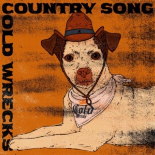 Country Song lyrics | Boomplay Music