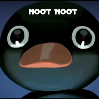 Noot Noot