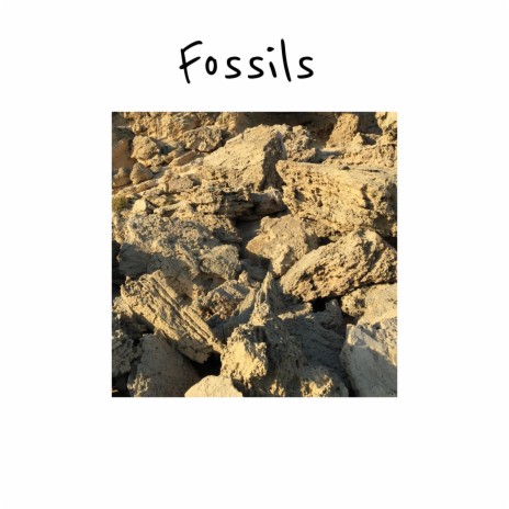Fossils | Boomplay Music