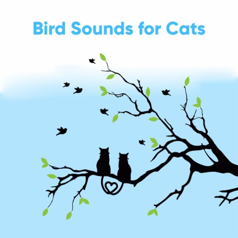 Feathered Friends: Bird Sounds for Cats