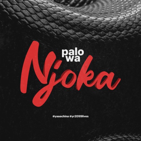 PALOWA NJOKA | Boomplay Music