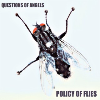 Policy of Flies