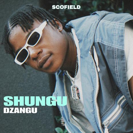 shungu dzangu | Boomplay Music