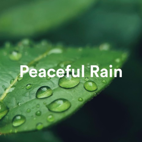 Peaceful Rain | Boomplay Music