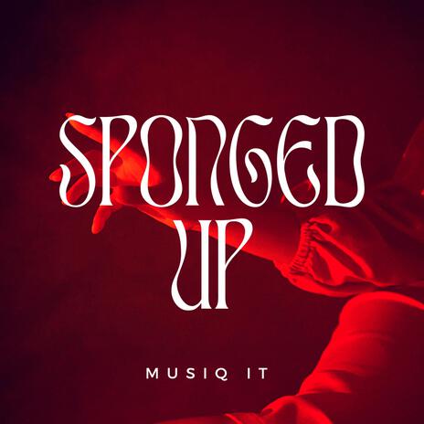 Sponged up | Boomplay Music