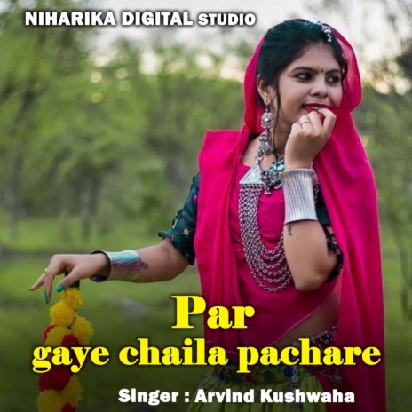 Par Gaye Chaila Pachare ft. Rani Kushwaha