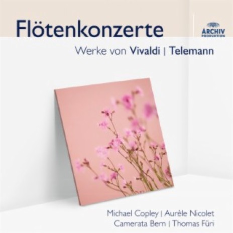 Vivaldi: Flute Concerto in C minor, R.441 - 1. Allegro non molto ft. Camerata Bern & Thomas Füri | Boomplay Music