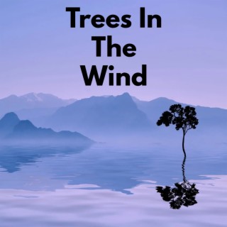 Trees In The Wind