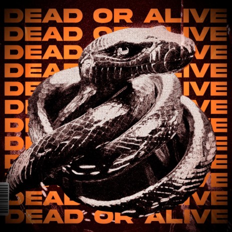 Dead Or Alive (V4) ft. Bri-C | Boomplay Music
