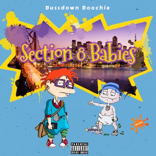 Section 8 Babies