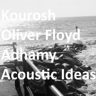 Acoustic Ideas