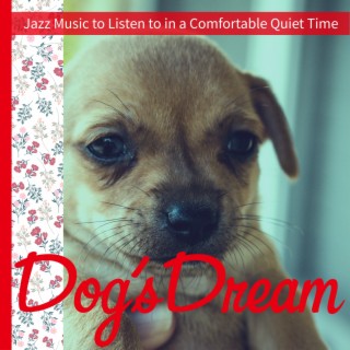 Jazz Music to Listen to in a Comfortable Quiet Time