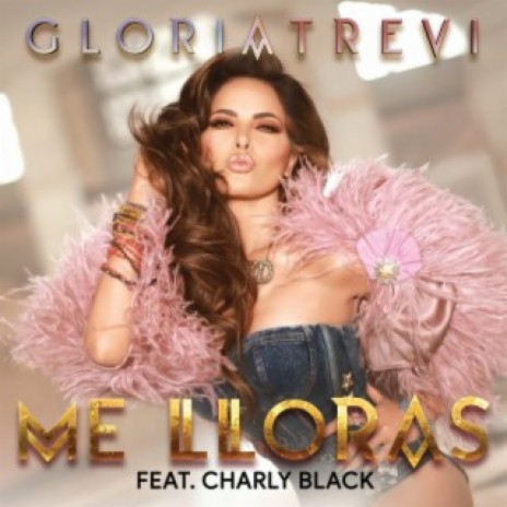 Me Lloras ft. Charly Black | Boomplay Music