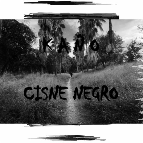 Cisne Negro | Boomplay Music