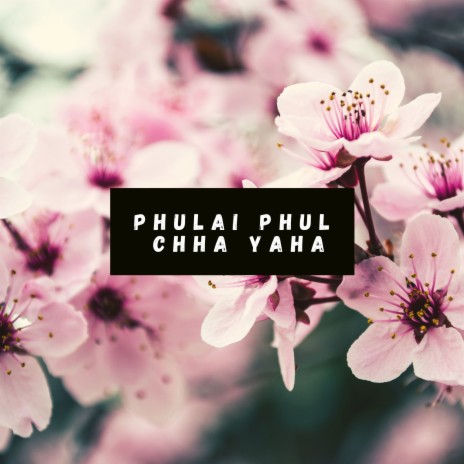 Phulai Phul Chha Yaha ft. Sabnam Gurung