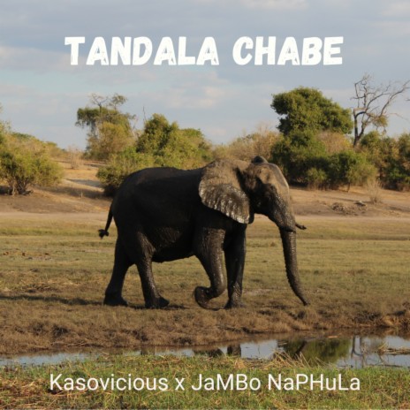 Tandala Chabe ft. Kasovicious | Boomplay Music