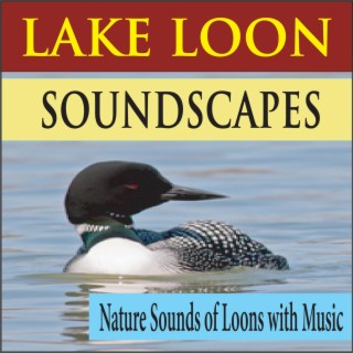 Lake Loon Soundscapes (Nature Sounds of Loons with Music)