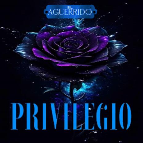 Privilegio | Boomplay Music