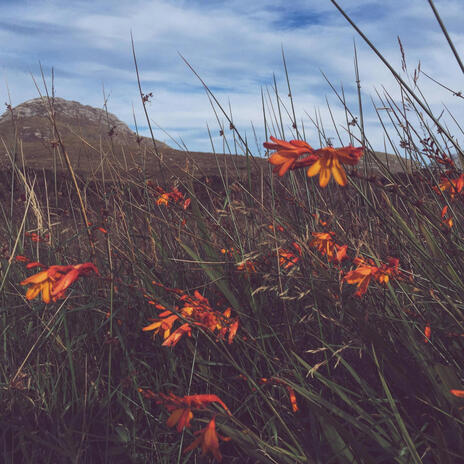 Faoin Tuath ft. Madelyn Monaghan | Boomplay Music