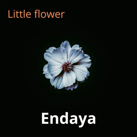 Little flower | Boomplay Music