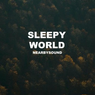 Sleepy World